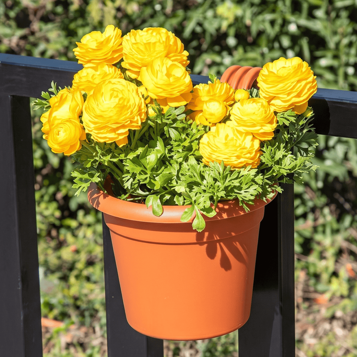 Balconera Redonda 18 cm, Jardinera Colgante, Fabricada con Materiales de Alta Calidad para Uso Diario, Ideal para Balcón, Valla y Jardín, Perfectas para Plantas de Interior y Exterior Aportando un Toque Natural y Acogedor a tu Hogar, 18 cm