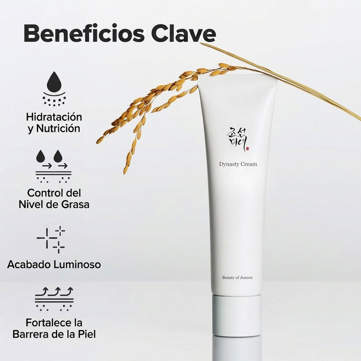 Beauty of Joseon Dynasty Cream, Formula Hidratante Facial para el Cuidado Diario, Nutrir e Iluminar la Piel, 100 ml