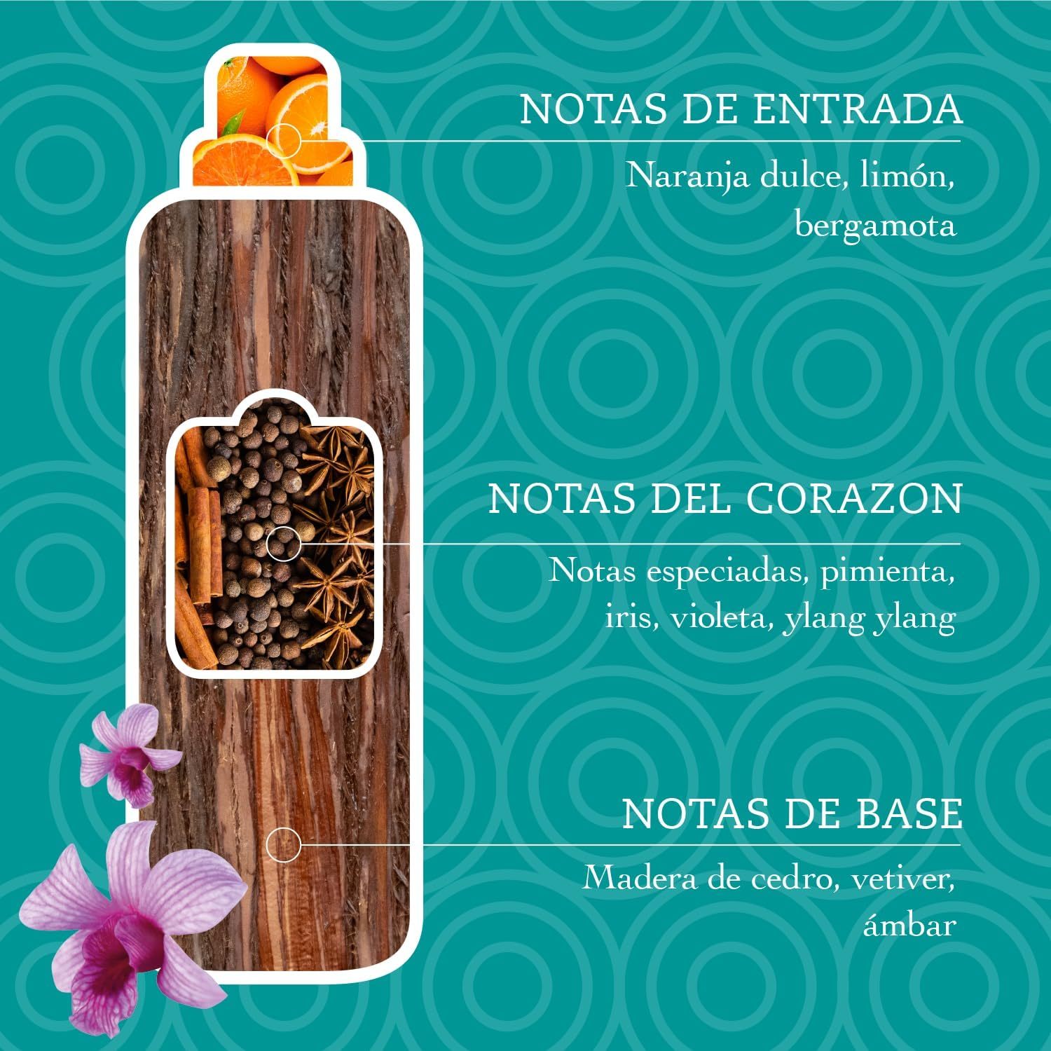 Tesori d'Oriente, Perfumador y Suavizante de Ropa Líquido Aromático Concentrado, Aroma Intenso, Microcápsulas para Fragancia Duradera, Facilita el Planchado, 760ml - 42 Lavados por Botella