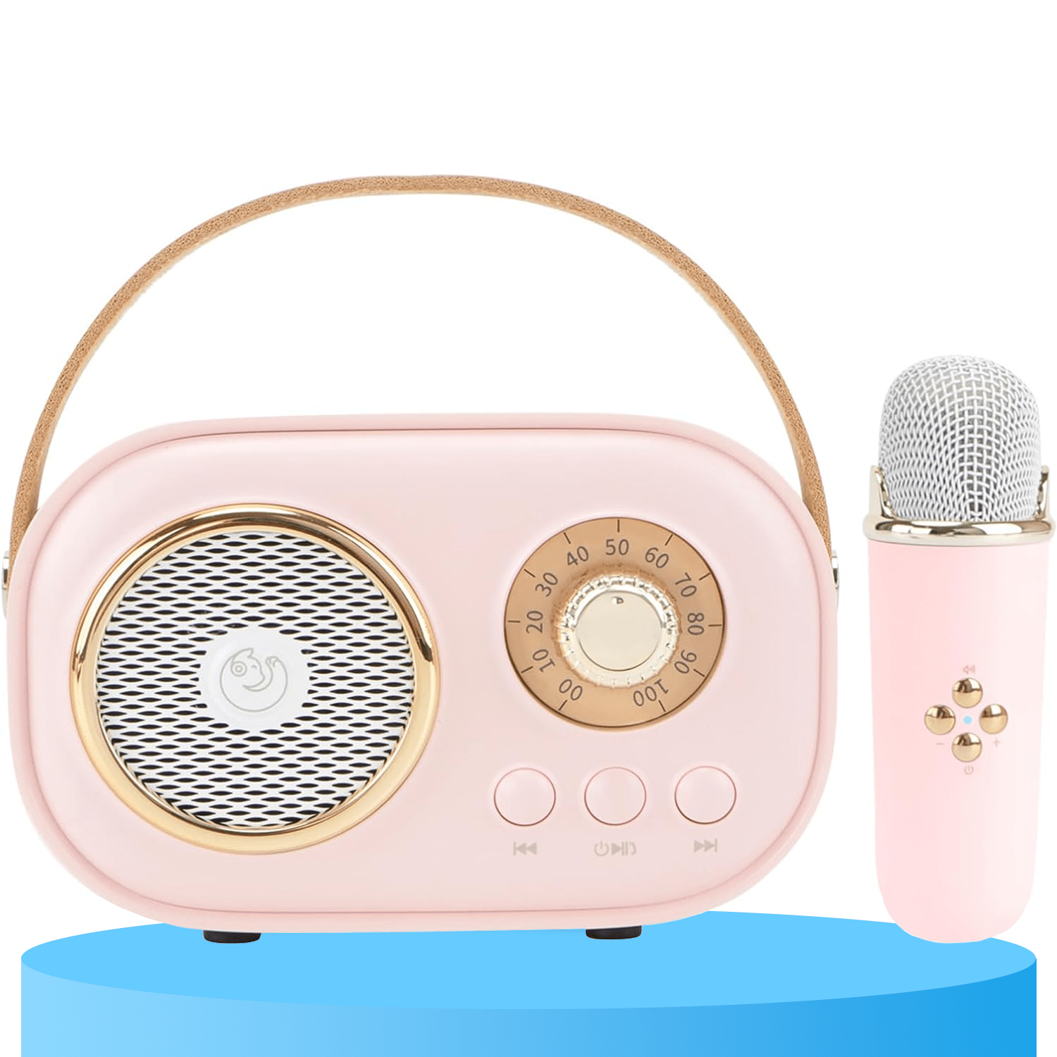 Mini Karaoke Portatil, Altavoz con Micrófono Inalámbrico para Cantar, Efectos de Voz, Ideal para Fiestas