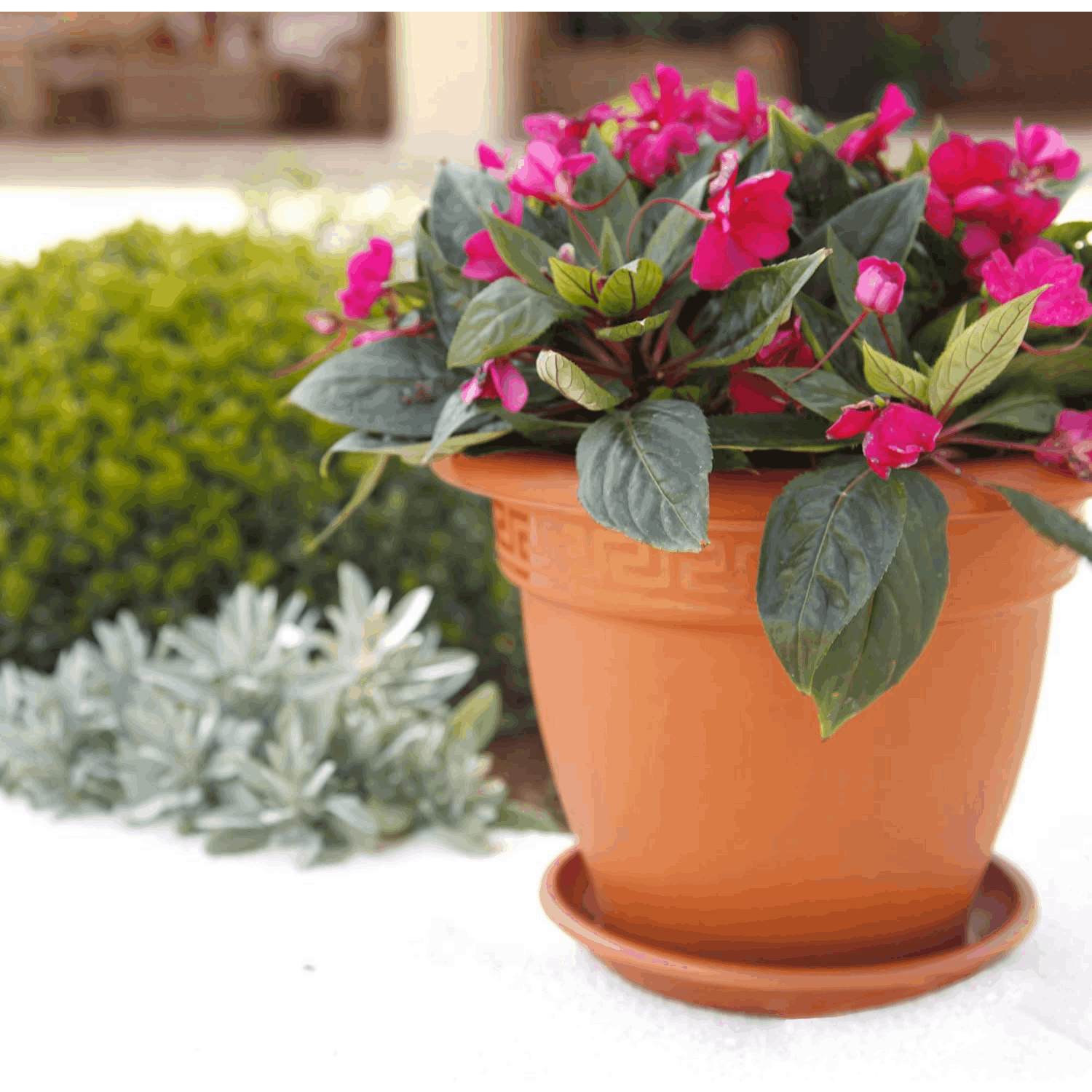 Maceta Grande Plástico, Maceta Plástico Redonda Grande con Agujeros de Drenaje, Maceta Reutilizable Duradera para Flores y Plantas de Interior y Exterior, Fácil de Plantar y Transplantar, Estilo Casual, No incluye Bandeja
