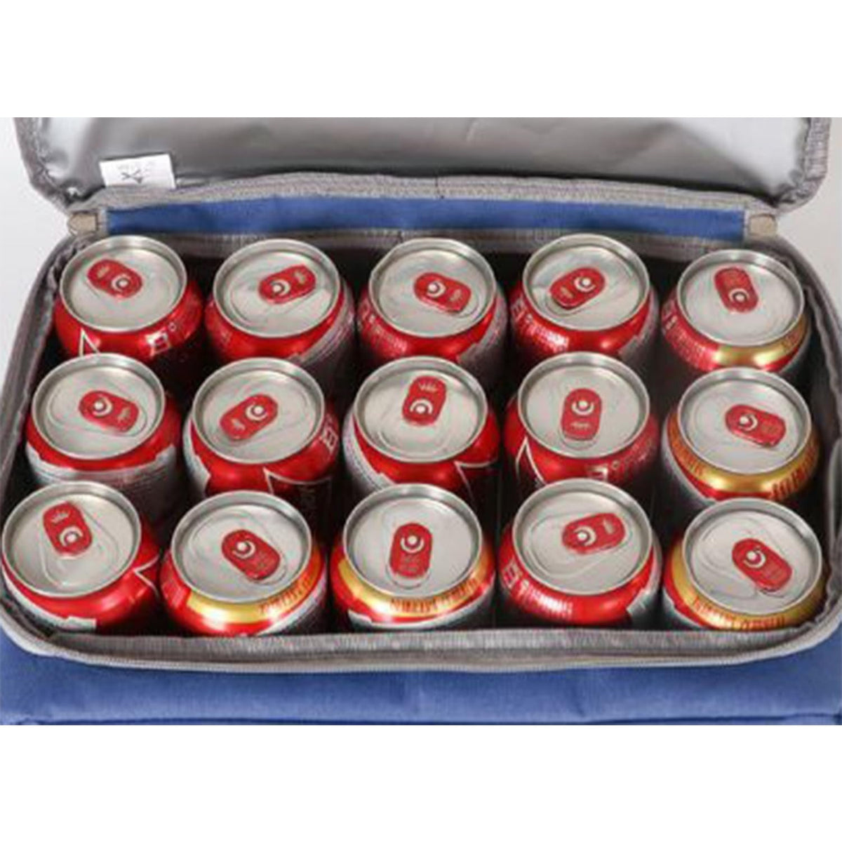 Bolsa Térmica Comida de 30L de Capacidad, Bolsa Aislamiento Isotérmico Hermética, Resistente y Espaciosa, ideal para Picnic, Playa, Camping y Excursión, Azul y Blanco