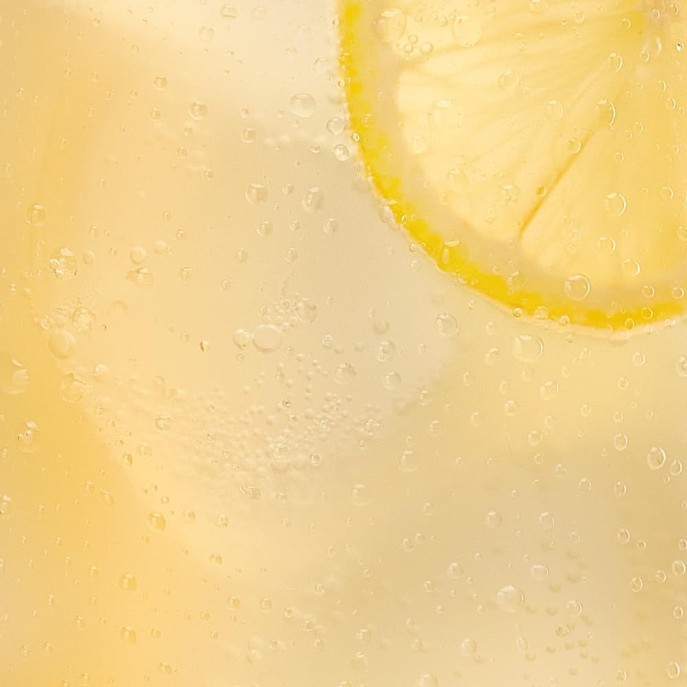 Schweppes Limón, Refresco con Sabor a Limón, Refresco Bajo en Calorías, Paquete de 24 Latas de 330 ml