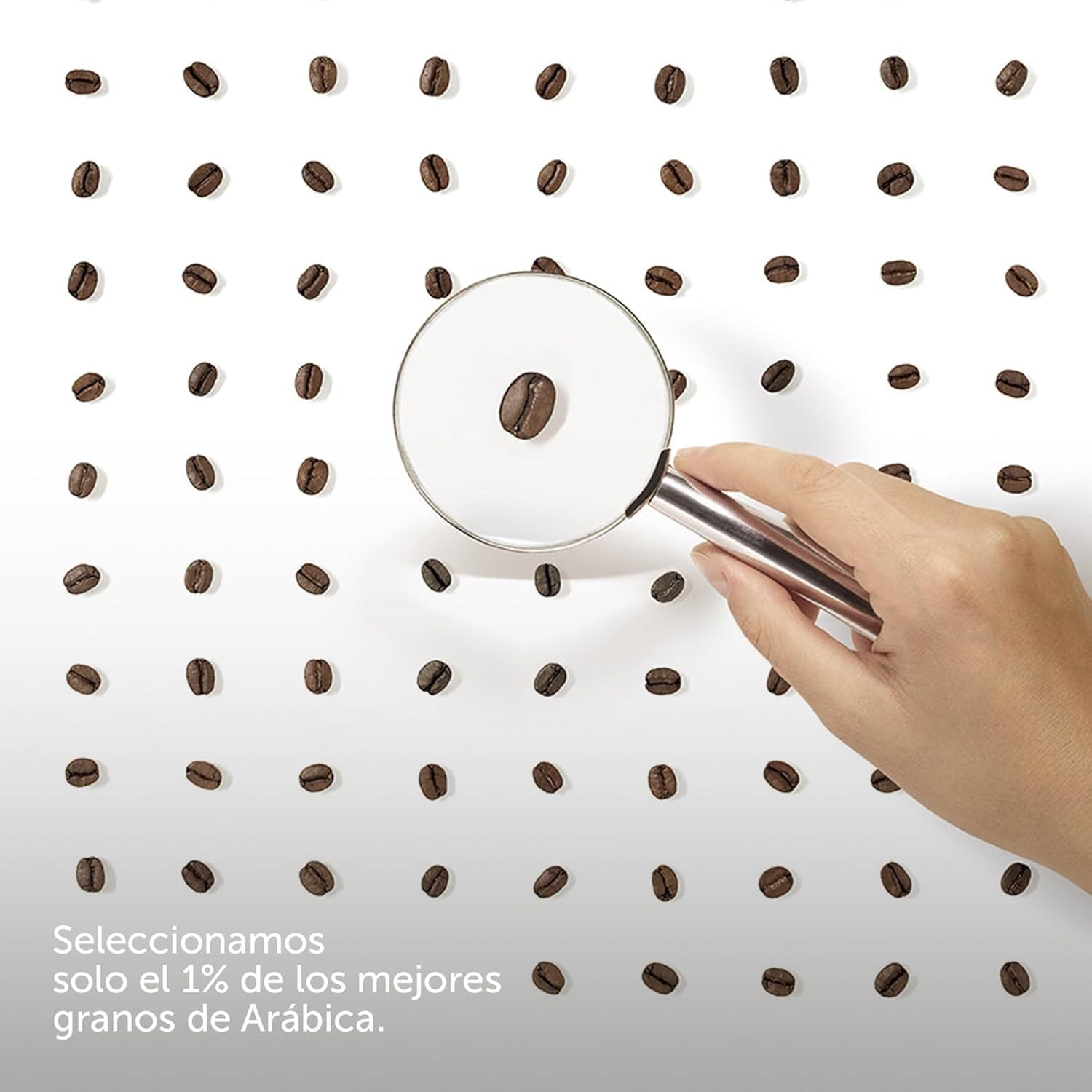Illy Café Grano Tueste Classico, Sabor Suave y Armonioso, Notas de Caramelo, Azahar y Jazmin, 100% Arabica, Café en Grano Listo para ser Molido, 500g