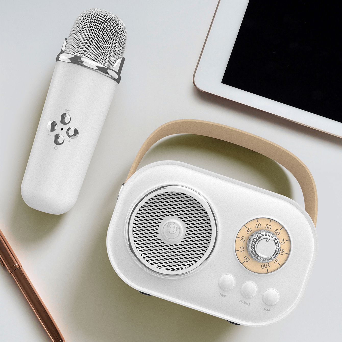 Mini Karaoke Portatil, Altavoz con Micrófono Inalámbrico para Cantar, Efectos de Voz, Ideal para Fiestas