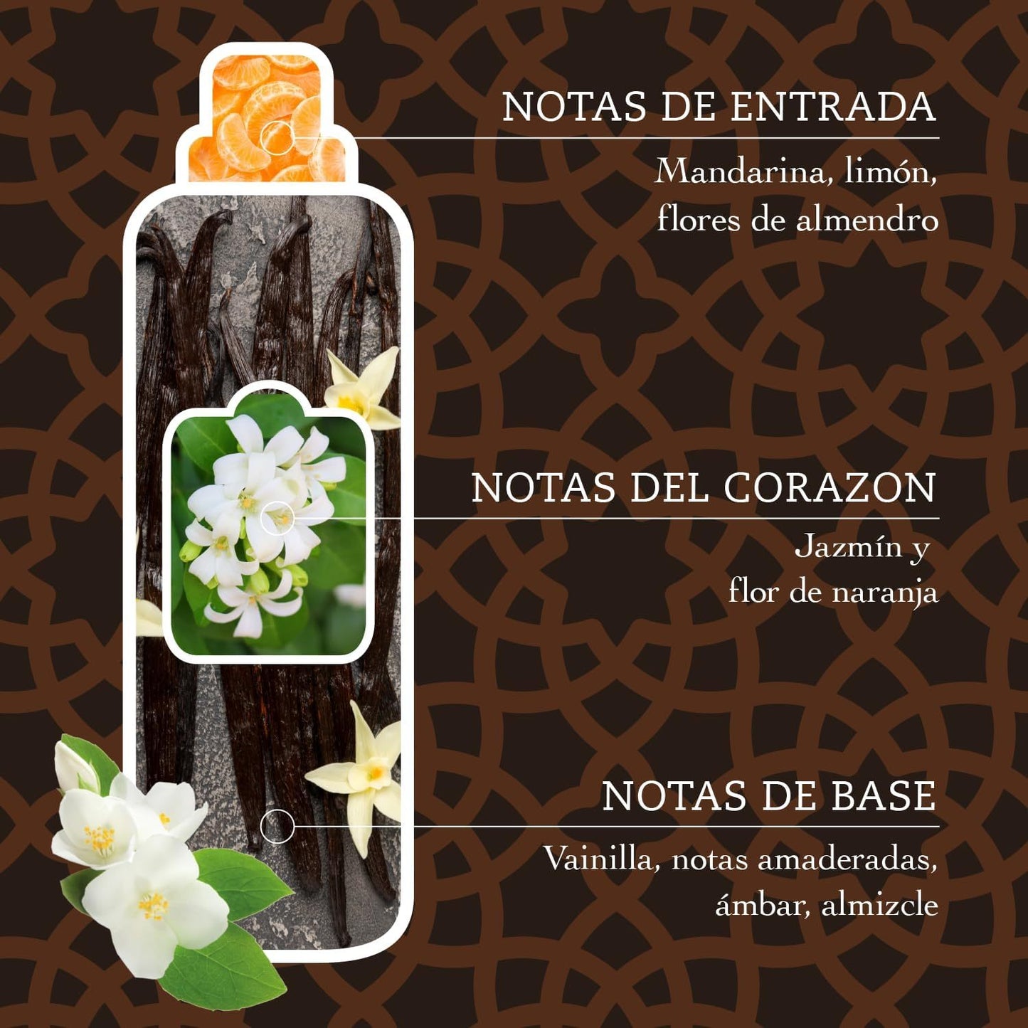 Tesori d'Oriente, Perfumador y Suavizante de Ropa Líquido Aromático Concentrado, Aroma Intenso, Microcápsulas para Fragancia Duradera, Facilita el Planchado, 760ml - 42 Lavados por Botella