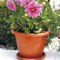 Maceta Grande Plástico, Maceta Plástico Redonda Grande con Agujeros de Drenaje, Maceta Reutilizable Duradera para Flores y Plantas de Interior y Exterior, Fácil de Plantar y Transplantar, Estilo Casual, No incluye Bandeja