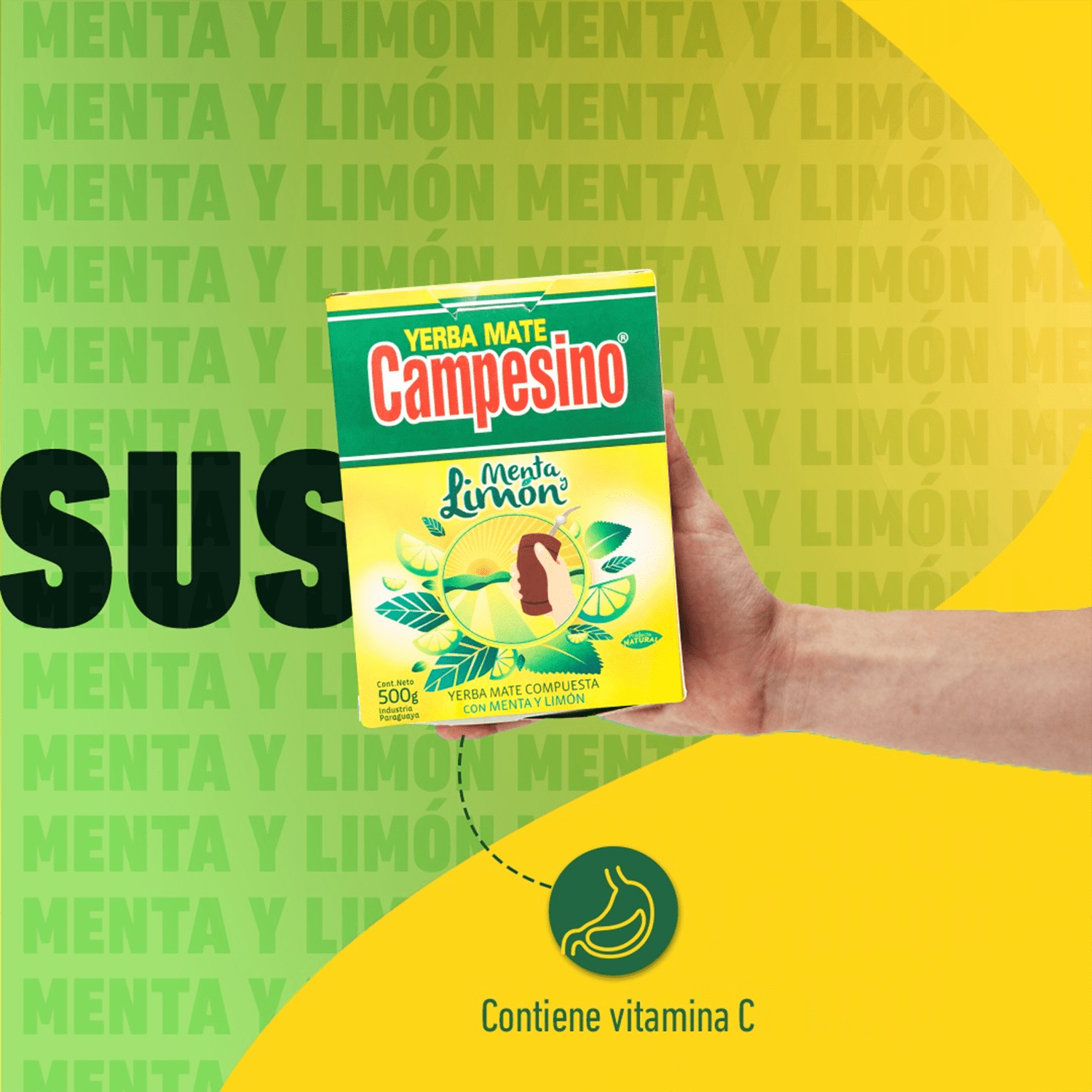 Campesino Yerba Mate, Yerbas para Mate con Sabor a Menta y Limón, Té Rico en Vitaminas y Minerales Esenciales, Origen de Paraguay, 500g por Paquete