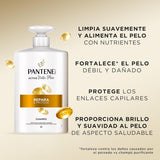 Pantene Champu Cabello Pro-V Repara y Protege, Fortalece el Pelo Debil y Dañado, Protege Enlaces Capilares, Proporciona Brillo y Suavidad, Sin Siliconas. Active Nutri-Plex, 1 L
