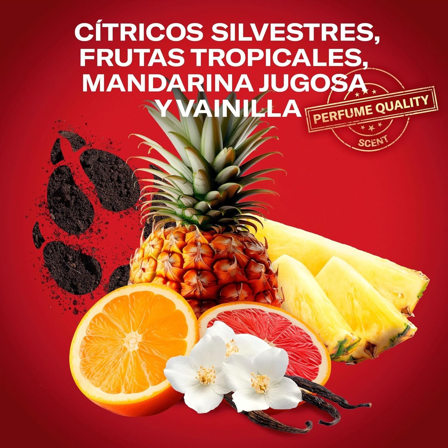 Old Spice Wolfthorn Pack 6 Desodorante en Barra Para Hombres, Fresco 24 Horas, Ideal para Uso Diario, Perfume Duradero, Sin Aluminio, Fragancia Excepcional a Cítricos Silvestres, Protección Contra El Mal Olor, 50ml por Barra