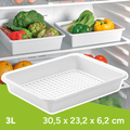 Organizador Nevera, Bandeja para Nevera, Almacenamiento para el Hogar, Caja de Almacenamiento, Apto para Lavavajillas