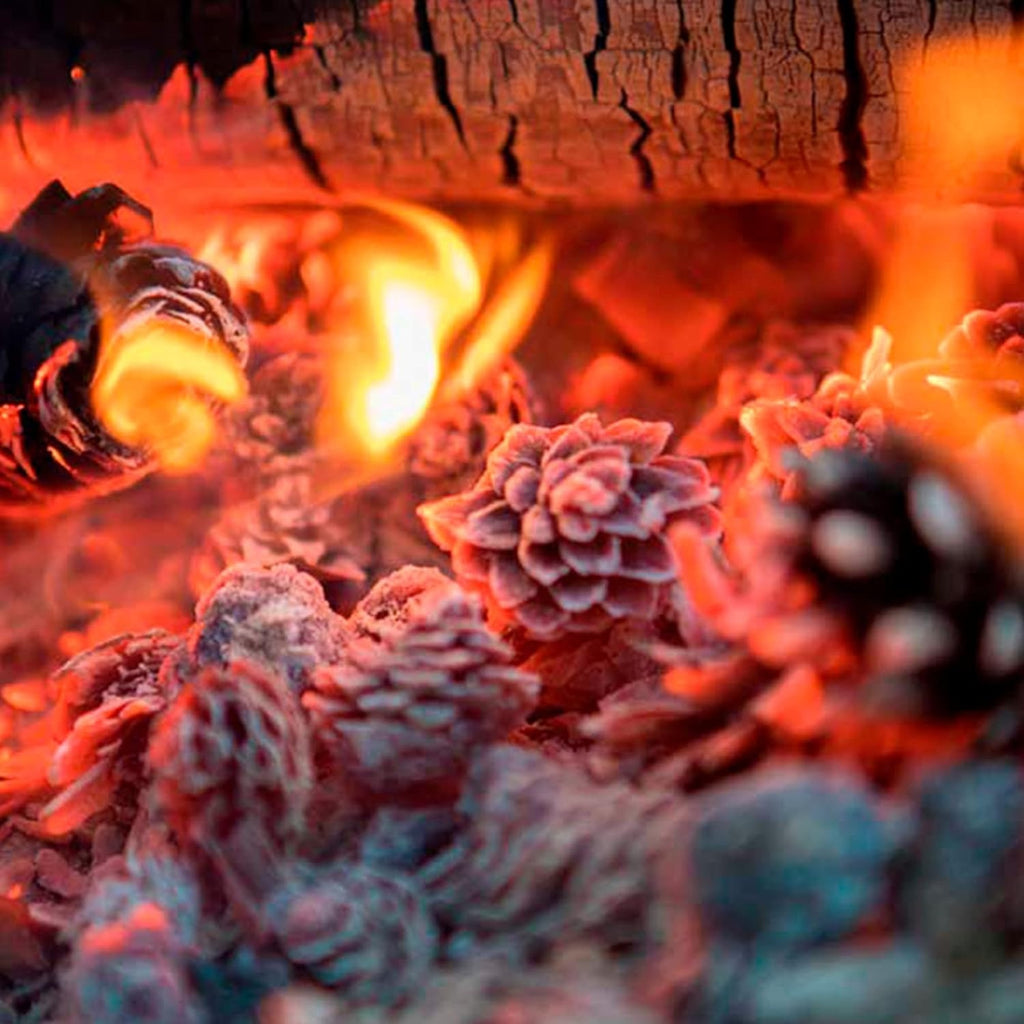 Piñas de Pino para Encendido, Secas y Grandes para Barbacoa, Chimenea, Caldera y Estufa, Piñas Decorativas Naturales, Saco de 32L