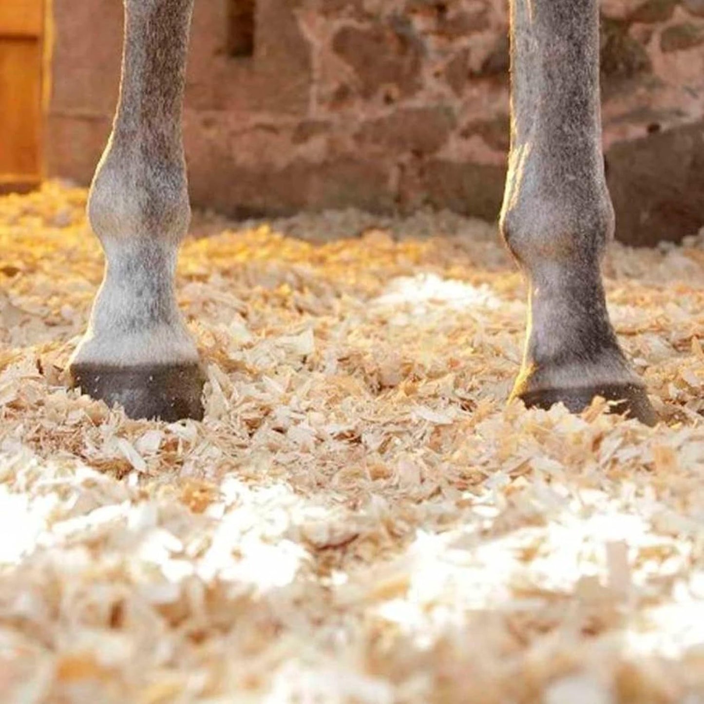 Viruta de Madera de Pino para Mascotas, Aves, Gallinas y Boxes de Caballos, 16 Kg