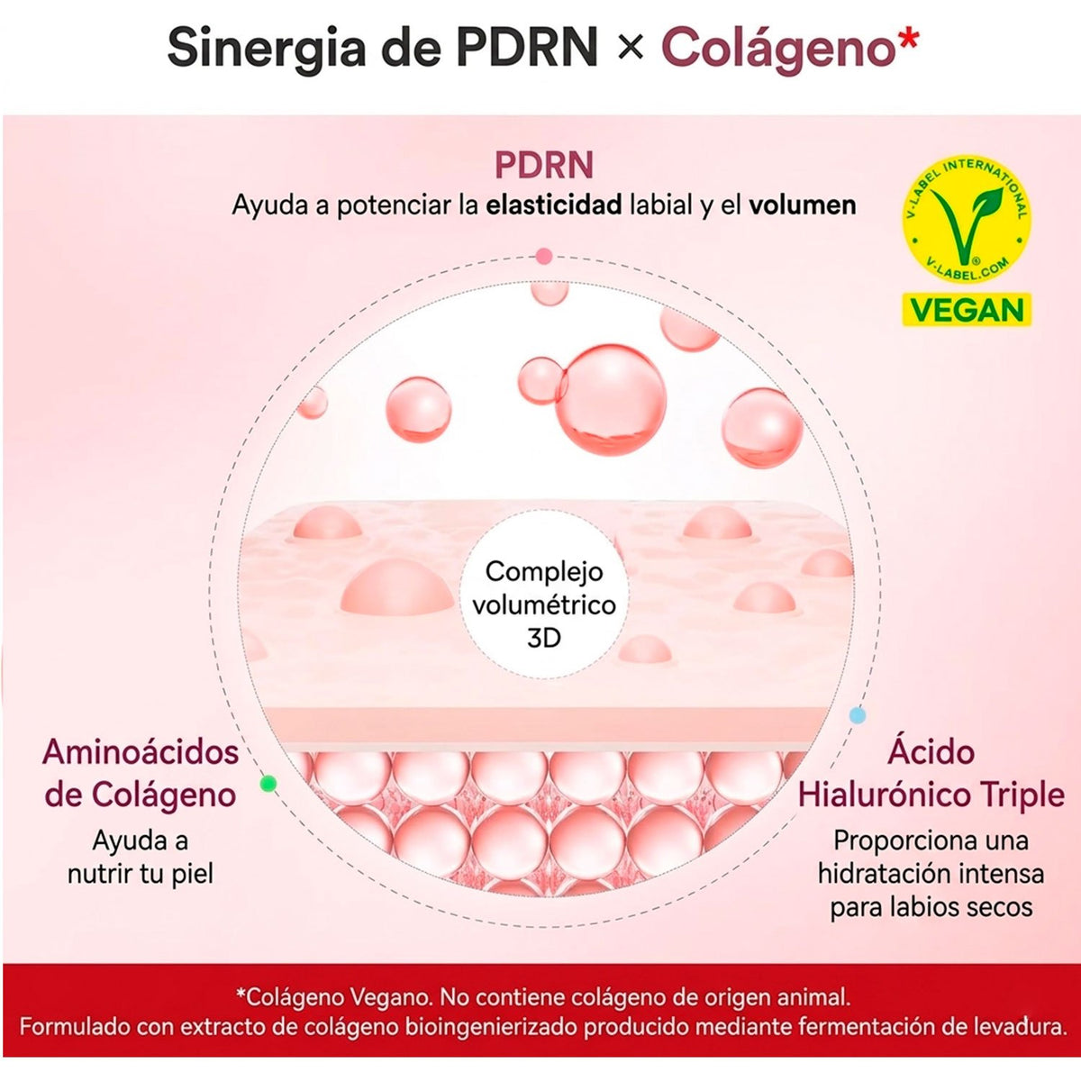 Abib Glazed Jelly Lip Mask, Mascarilla Hidratante para Labios, Textura Gel Brillante para el Cuidado Diario, 11 g