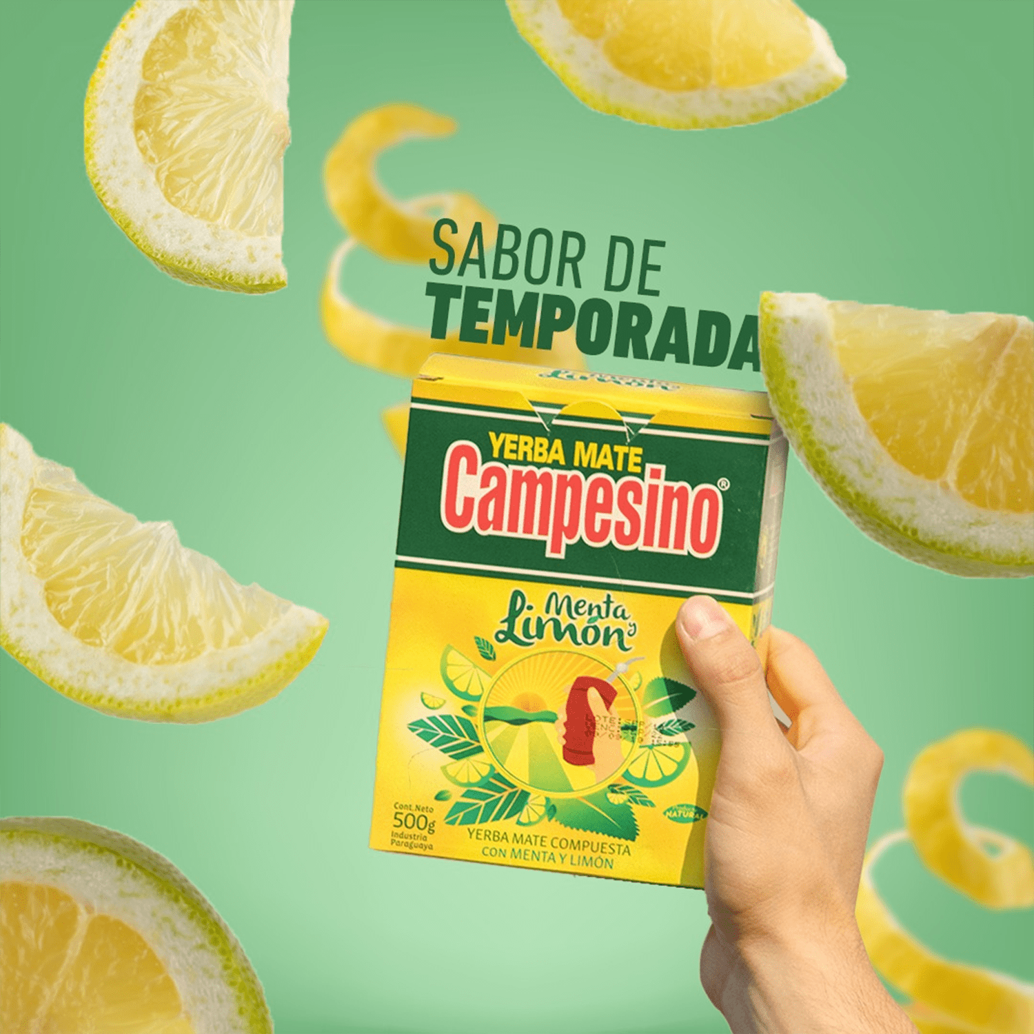 Campesino Yerba Mate, Yerbas para Mate con Sabor a Menta y Limón, Té Rico en Vitaminas y Minerales Esenciales, Origen de Paraguay, 500g por Paquete