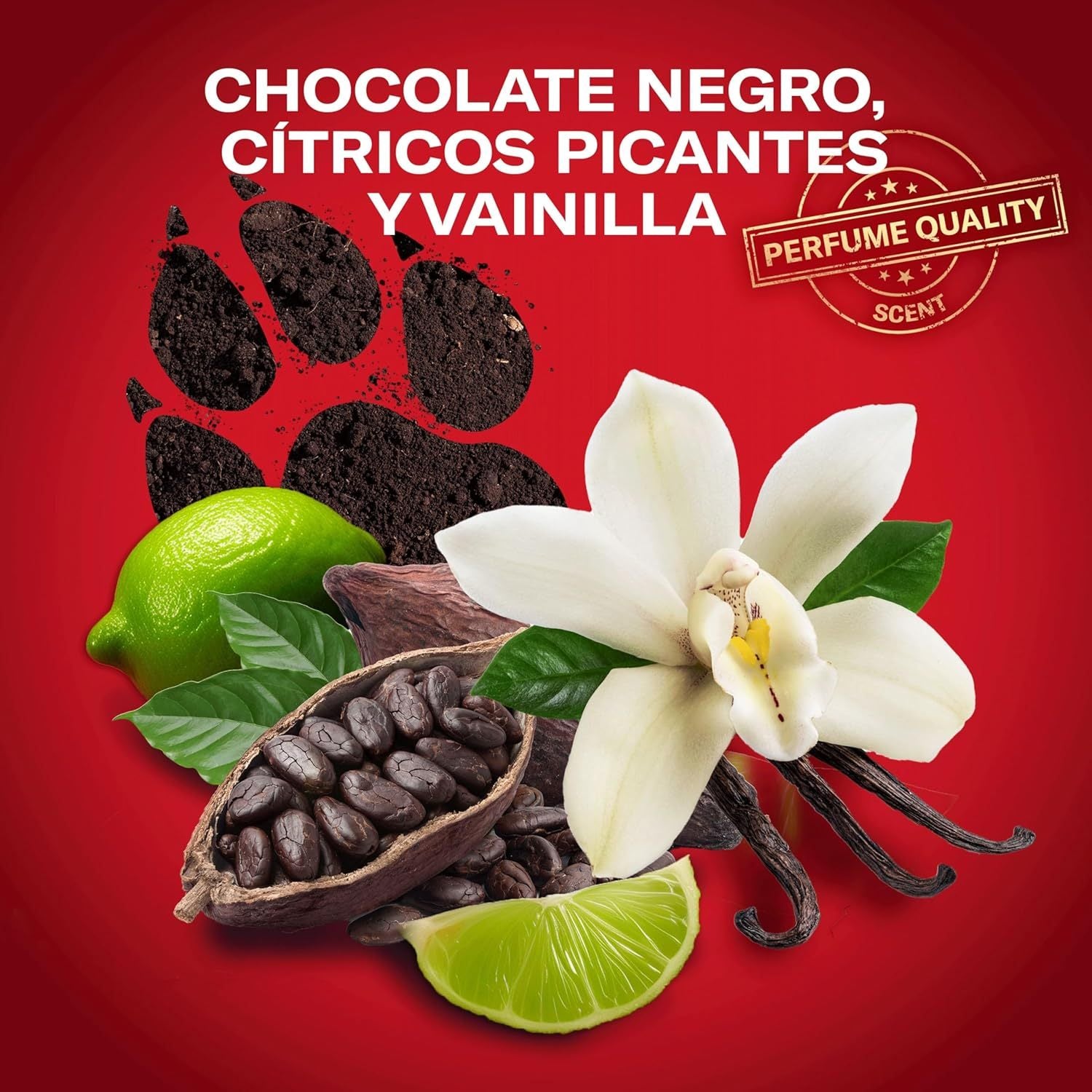 Old Spice Night Panther Pack 6 Desodorante en Barra Para Hombres, Fresco 24 Horas, Ideal para Uso Diario, Perfume Duradero, Sin Aluminio, Fragancia Excepcional a Chocolate Negro y Vainilla, Protección Contra El Mal Olor, 50ml por Barra