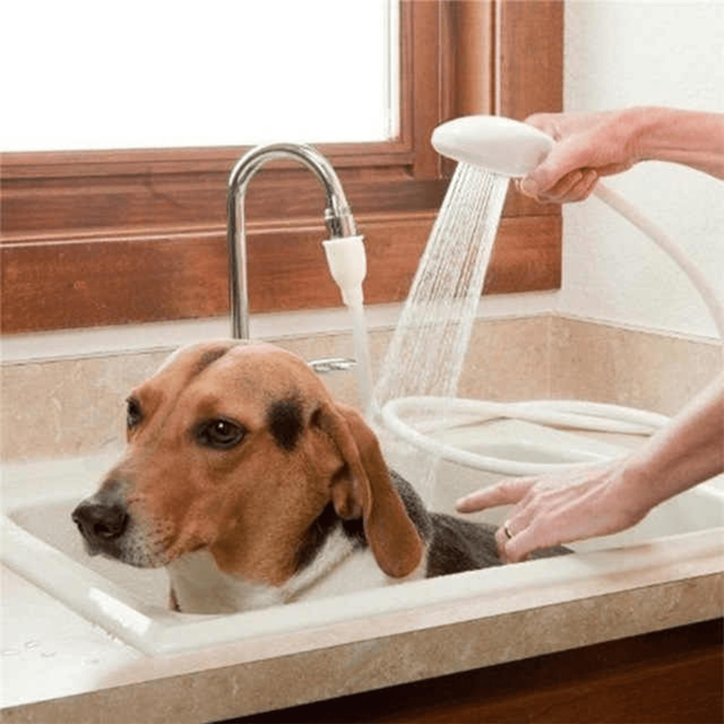 Manguera Ducha con Cabezal, Manguera de Ducha Extraible y Portátil de 1,4m con Alcachofa, Boquilla Adaptable, Flexible, Perfecto para Lavarse el Pelo y las Mascotas, Ideal para Viajes
