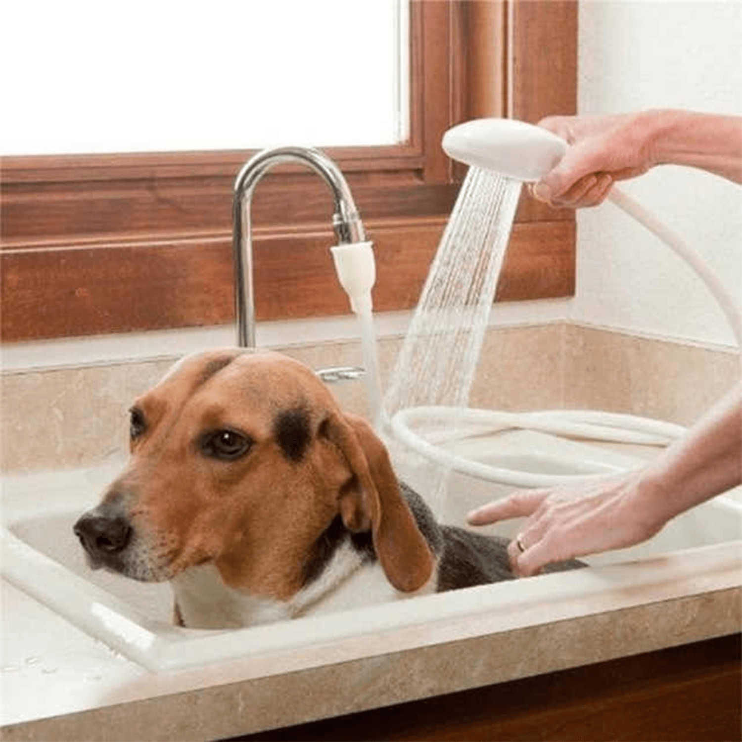 Manguera Ducha con Cabezal, Manguera de Ducha Extraible y Portátil de 1,4m con Alcachofa, Boquilla Adaptable, Flexible, Perfecto para Lavarse el Pelo y las Mascotas, Ideal para Viajes