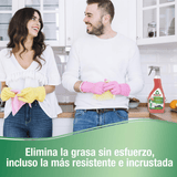 Frosch Quitagrasas Cocina con Extractos de Pomelo, Apto para Superficies de Cocina, Elimina la Grasa sin Esfuerzo, Pack de 8 Unidades x 500 ml, 4L en Total