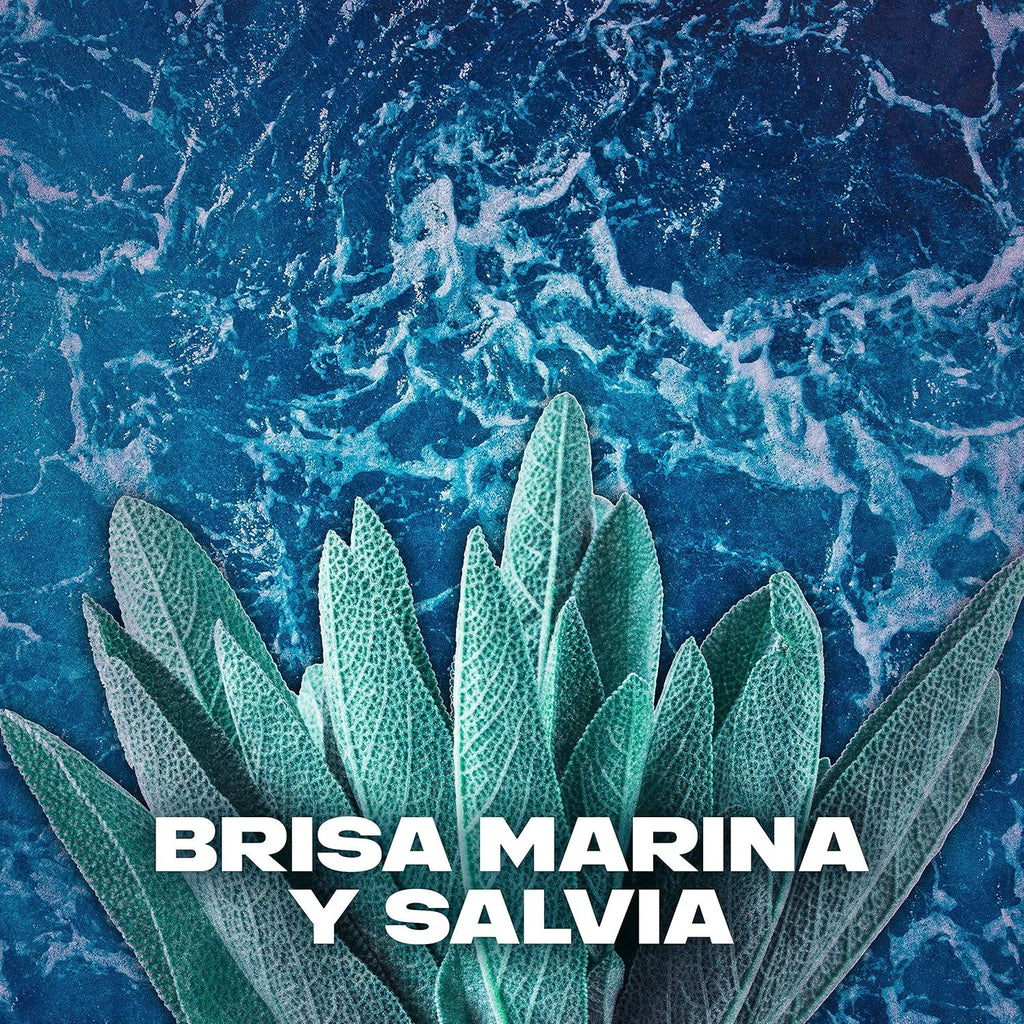Axe Desodorante Spray Marine, Aroma Inspirada en Brisa Marina, Olor Irresistible durante 48 horas, 150ml por Spray