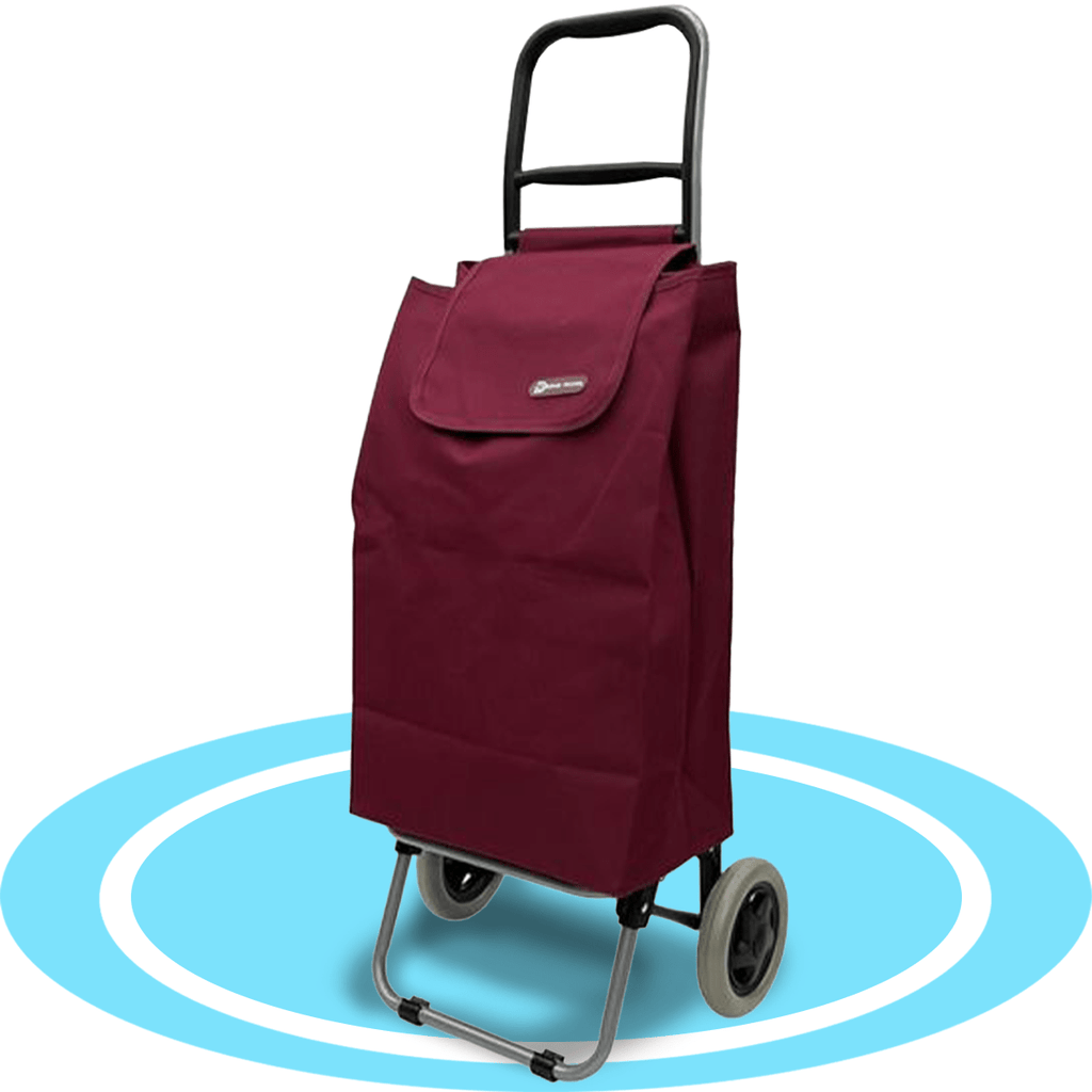 Carro Compra Plegable, Carro Plegable con Ruedas, Gran Capacidad de 40 Litros, 2 Ruedas Grandes Resistentes y Estables, Bolsa Desmontable Facilita Carga y Descarga de tus Compras, Fácil de Limpiar, Alto: 94 cm x Largo: 36 cm x Profundo: 27 cm