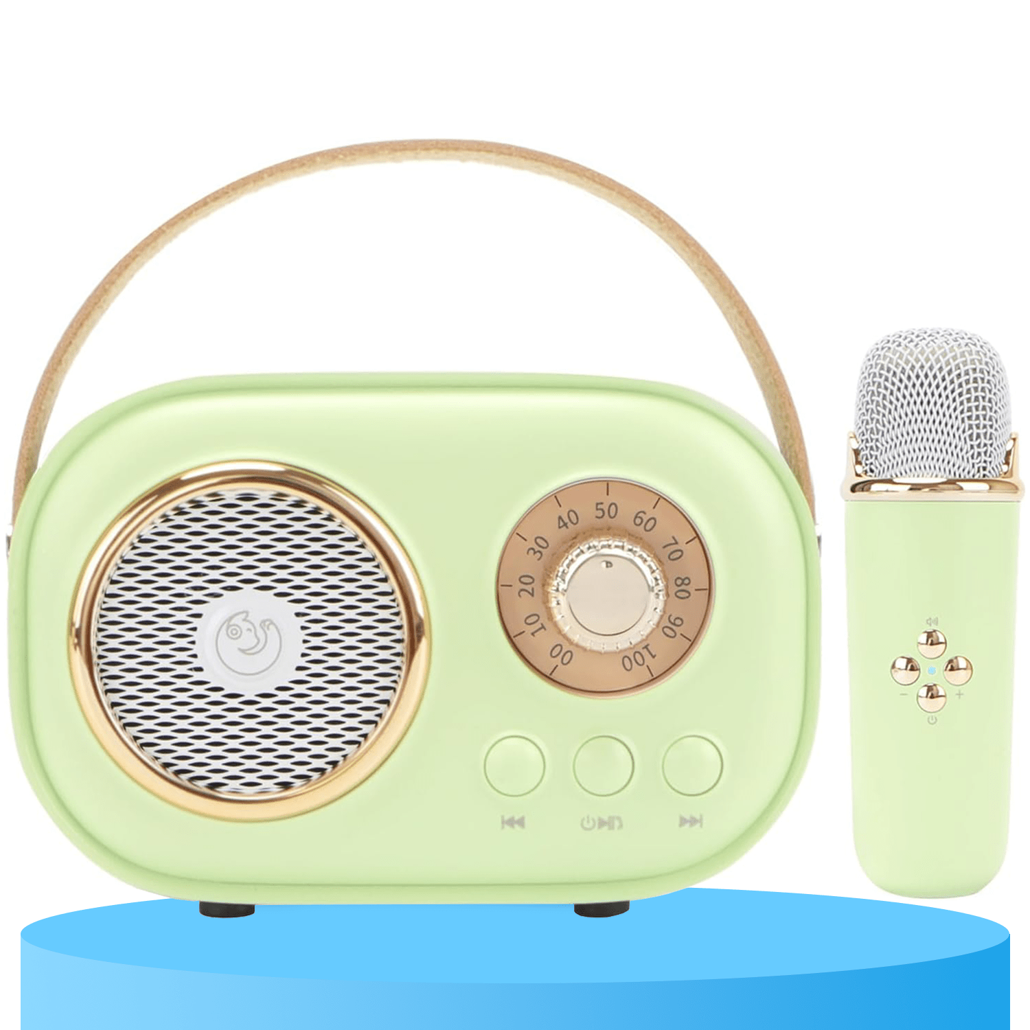 Mini Karaoke Portatil, Altavoz con Micrófono Inalámbrico para Cantar, Efectos de Voz, Ideal para Fiestas