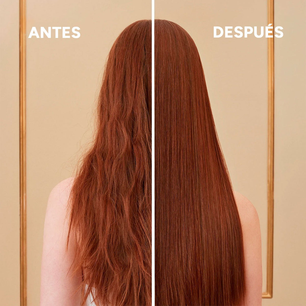 Alfaparf Milano Keratin Therapy, Champú de Mantenimiento para Tratamientos de Queratina, 250 ml