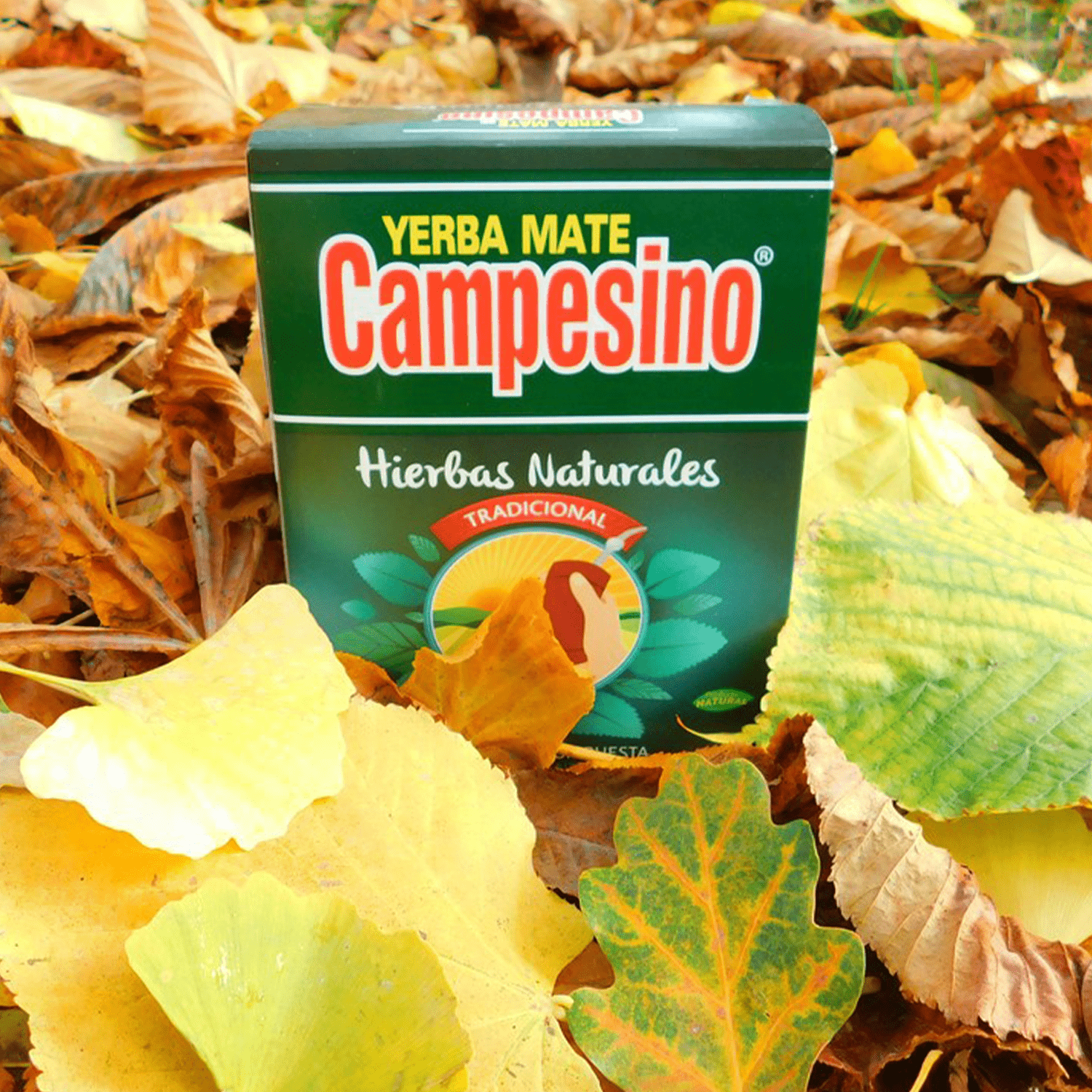 Campesino Yerba Mate, Yerbas para Mate con Sabor a Menta, Té Rico en Vitaminas y Minerales Esenciales, Origen de Paraguay, 500g por Paquete