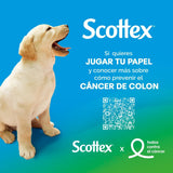 Scottex Papel Higiénico, Rollos dos Capas que Proporcionan el Equilibro Adecuado en Suavidad y Resistencia