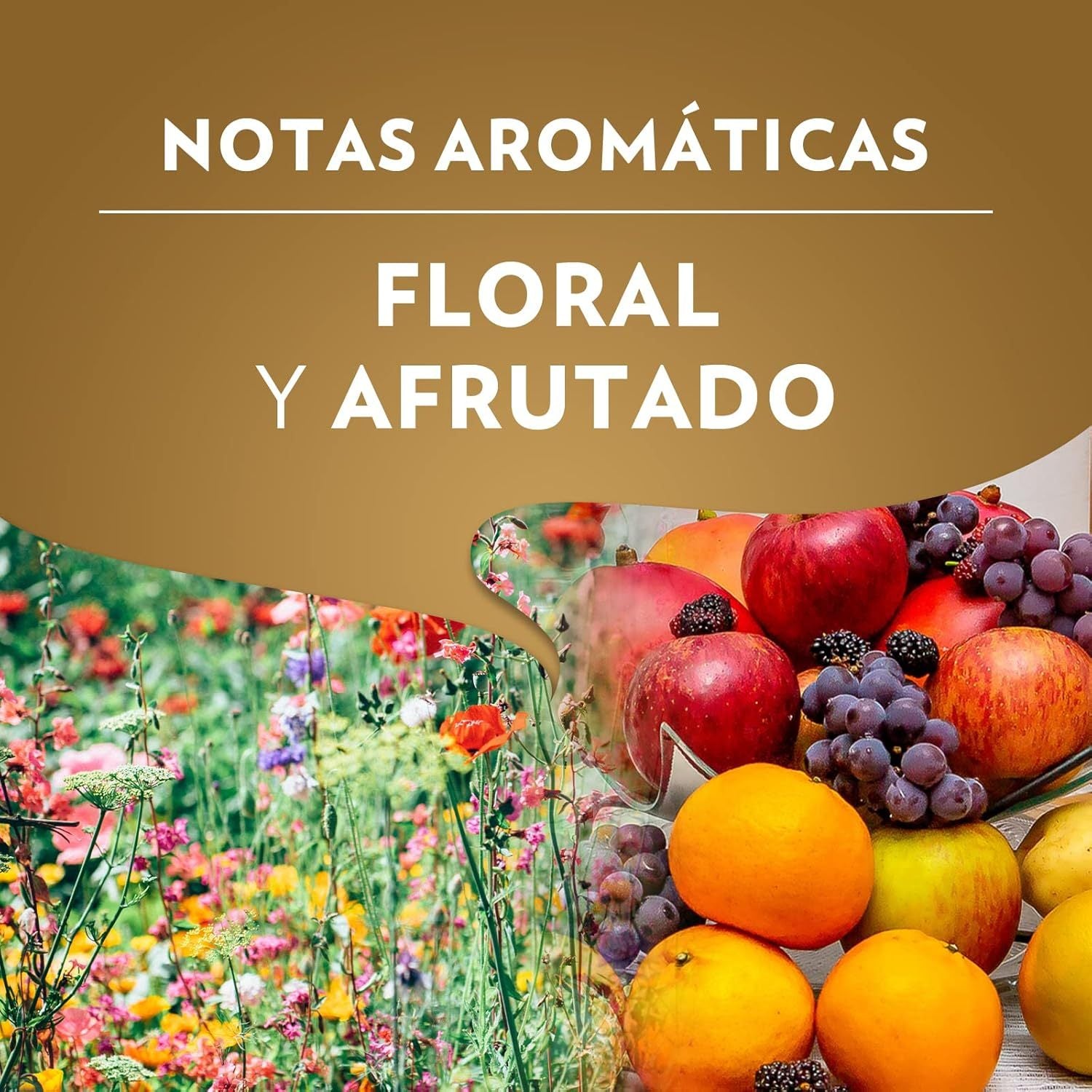 Lavazza Café Grano Natural Qualità Oro, Mezcla 100% Arábica, con Notas Aromáticas Florales y Afrutadas, Intensidad 5/10, Tueste Medio, 1/2 kg