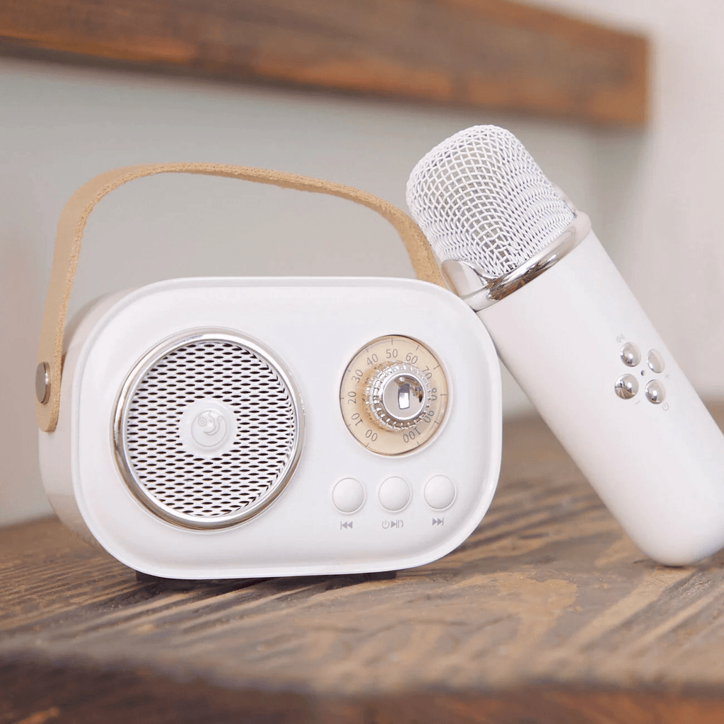 Mini Karaoke Portatil, Altavoz con Micrófono Inalámbrico para Cantar, Efectos de Voz, Ideal para Fiestas