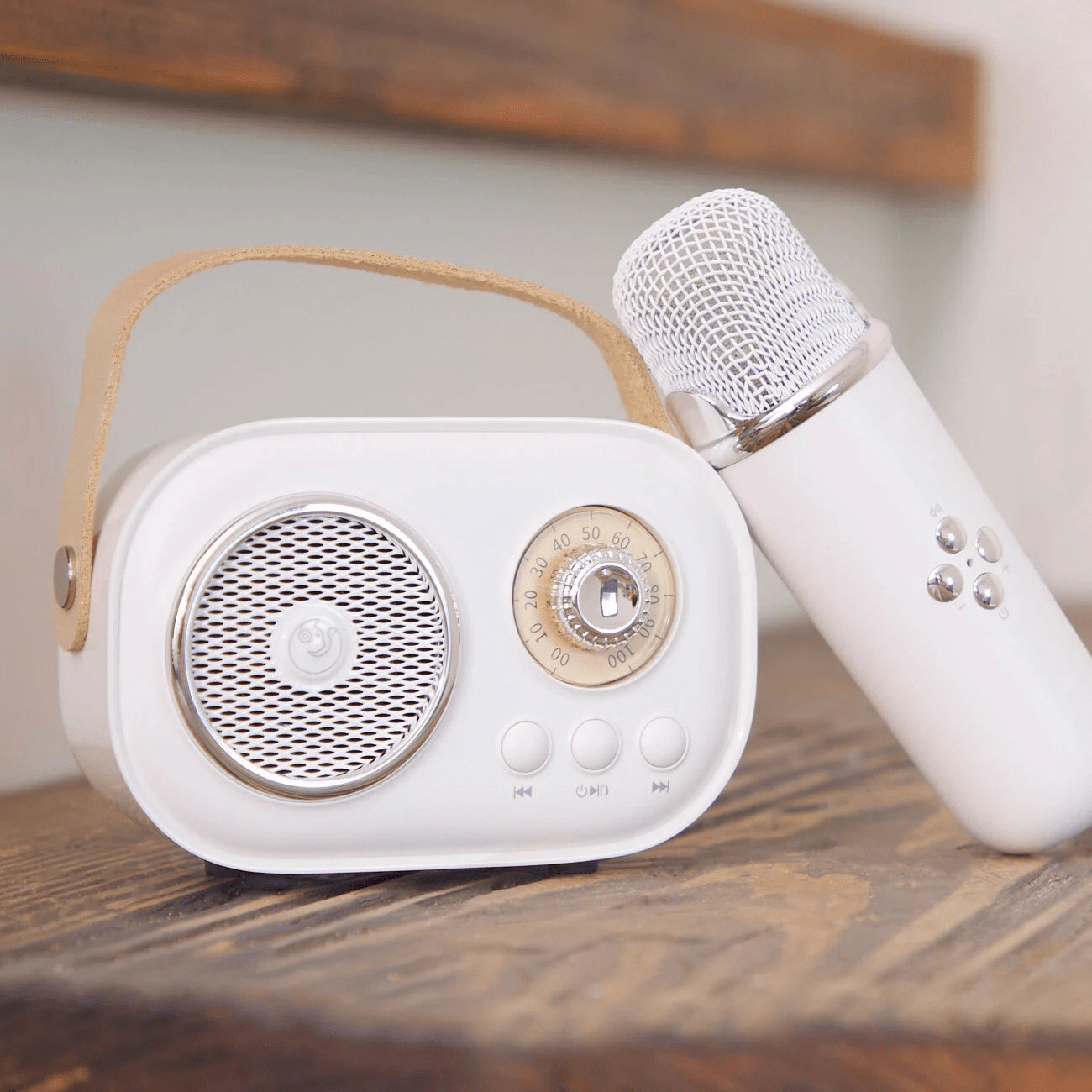 Mini Karaoke Portatil, Altavoz con Micrófono Inalámbrico para Cantar, Efectos de Voz, Ideal para Fiestas