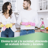 Frosch Limpiador Antical Vinagre de Frambuesa, Elimina las Manchas de Cal y Suciedad del Baño, Eficacia Desincrustante, 500ml