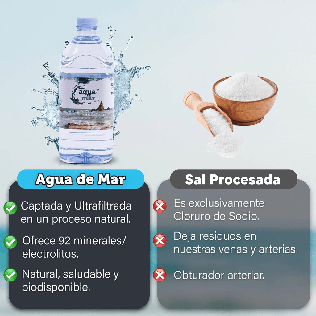 Agua de Mar Hipertónica, 6 Garrafas de 2 Litros, Rica en Minerales, Equilibra el PH, Fortalece el Sistema Inmunológico, Ultrafiltrada en Frío, Captada en el Parque Natural Cabo de Gata (Almería)