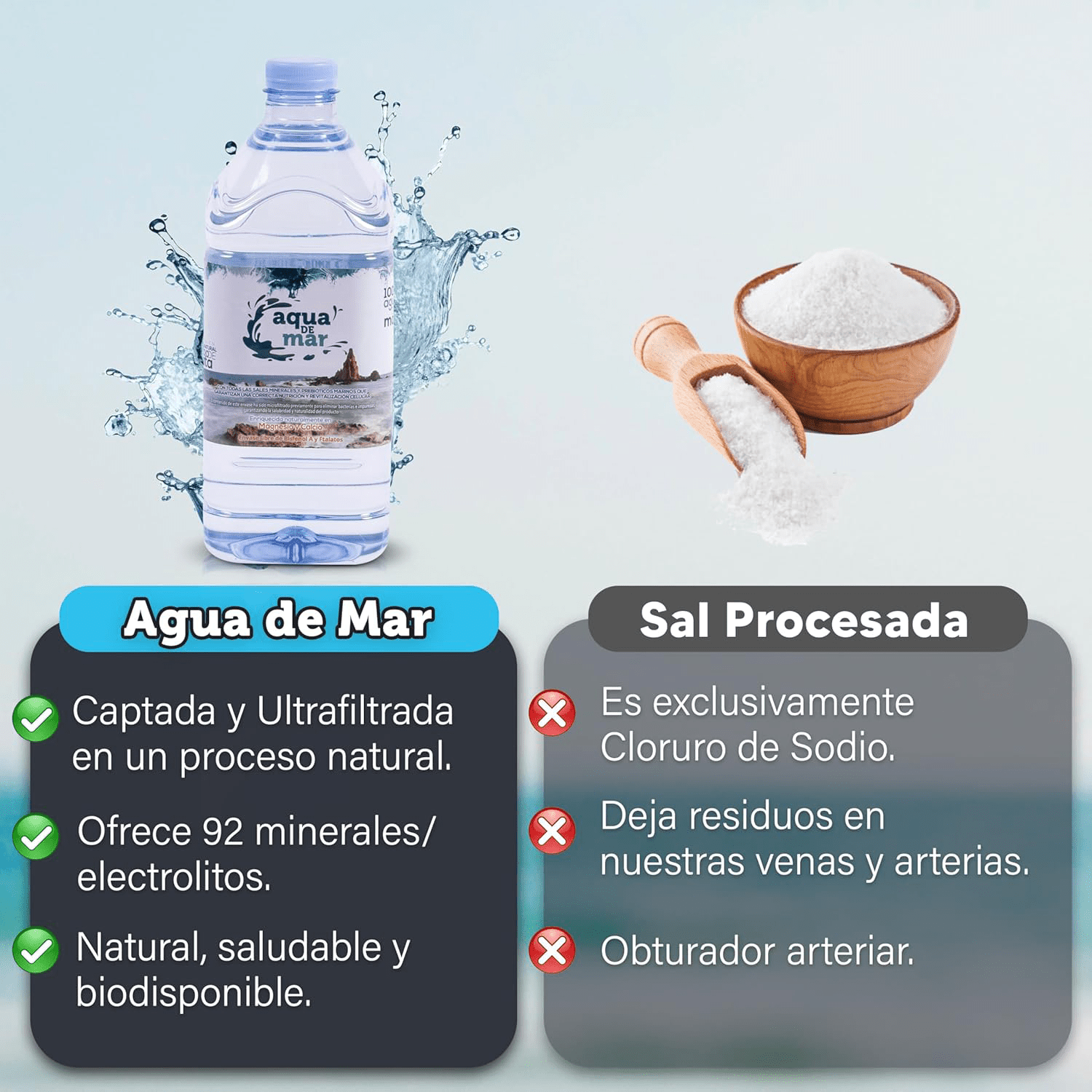Agua de Mar Hipertónica, 6 Garrafas de 2 Litros, Rica en Minerales, Equilibra el PH, Fortalece el Sistema Inmunológico, Ultrafiltrada en Frío, Captada en el Parque Natural Cabo de Gata (Almería)