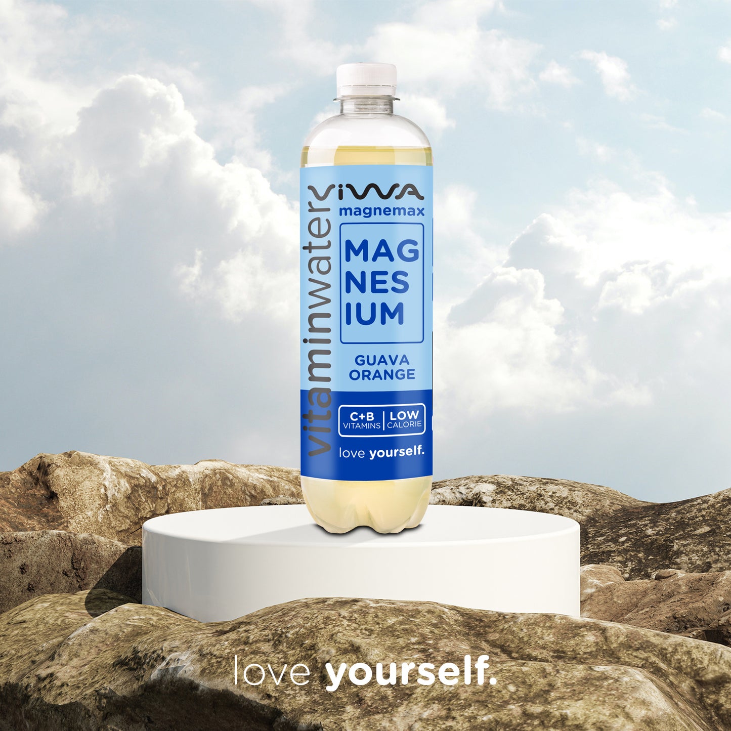 VIWA VitaminWater & Tea, Bebidas Refrescantes con Vitaminas y Minerales, Bajo en Calorías y Endulzado con Azúcar Natural de Frutas