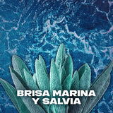 Axe Desodorante Spray Marine, Aroma Inspirada en Brisa Marina, Olor Irresistible durante 48 horas, 150ml por Spray