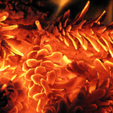 Piñas de Pino para Encendido, Secas y Grandes para Barbacoa, Chimenea, Caldera y Estufa, Piñas Decorativas Naturales, Saco de 32L