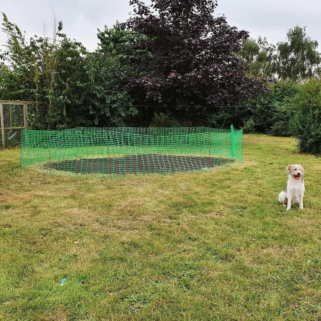 Valla de Jardín, Rollo de 1 metro de Alto por 50 metros de Longitud. Valla de Construcción, Valla Delimitadora, Vallas para Animales de Granja, Red Protectora de Plástico Ajustable y Cortable