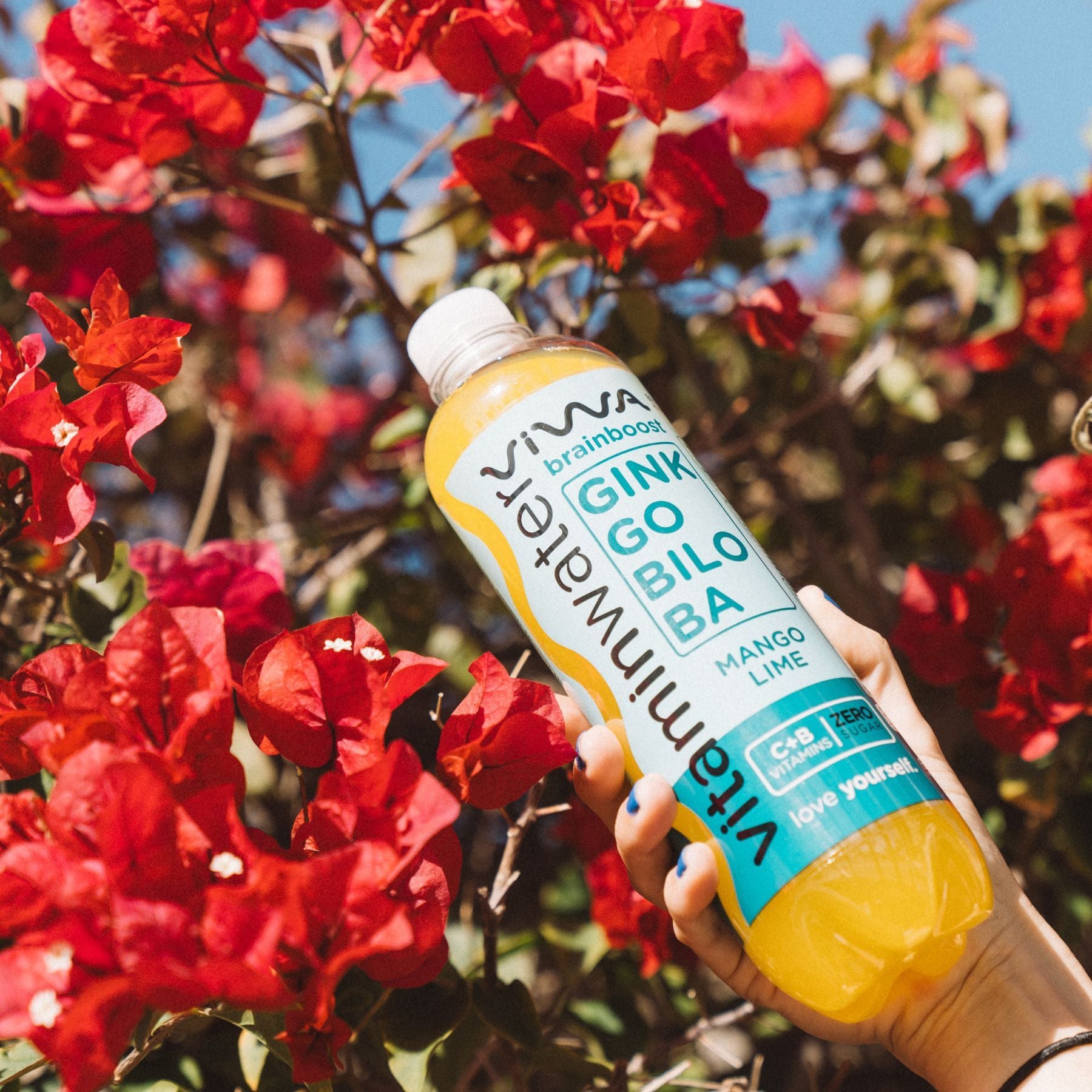 Viwa VitaminWater BrainBoost, Bebida Refrescante Cero Azúcar con Ginkgo Biloba y Vitaminas C y B. Sabor Mango, Lima y Lichi, Mejora la Agilidad Mental y la Concentración, 600ml, Pack de 12
