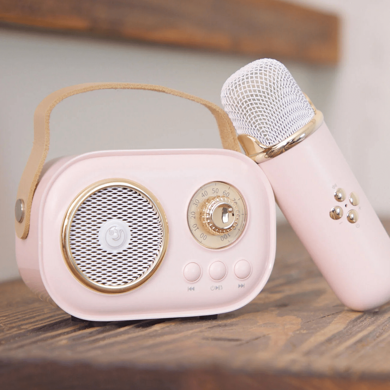 Mini Karaoke Portatil, Altavoz con Micrófono Inalámbrico para Cantar, Efectos de Voz, Ideal para Fiestas