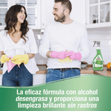 Frosch Limpia Cristales, Limpieza Eficaz de Cristales y Superficies Lisas, Sin Rastros, 500 ml