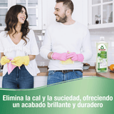 Frosch Vinagre de Limpieza Antical, Limpiador que Elimina la Cal en Profundidad, Potencia el Brillo, Pack 10 Unidades x 1L, 10L en Total