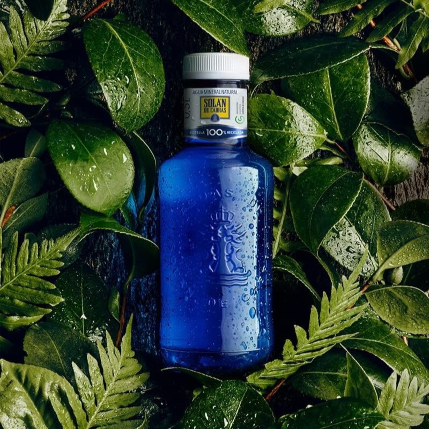SOLAN DE CABRAS Agua Mineral Natural sin Gas con una destacada Composición Mineral, Máxima Calidad de Agua, Ideal para Hidratarte en Cualquier Momento, 20 Botellas de 50cl